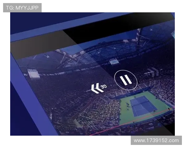 体育博彩平台的安全性与合法性分析